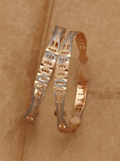 Two-Tone Gold Plated Fancy Daily Wear Bangle Set For Women